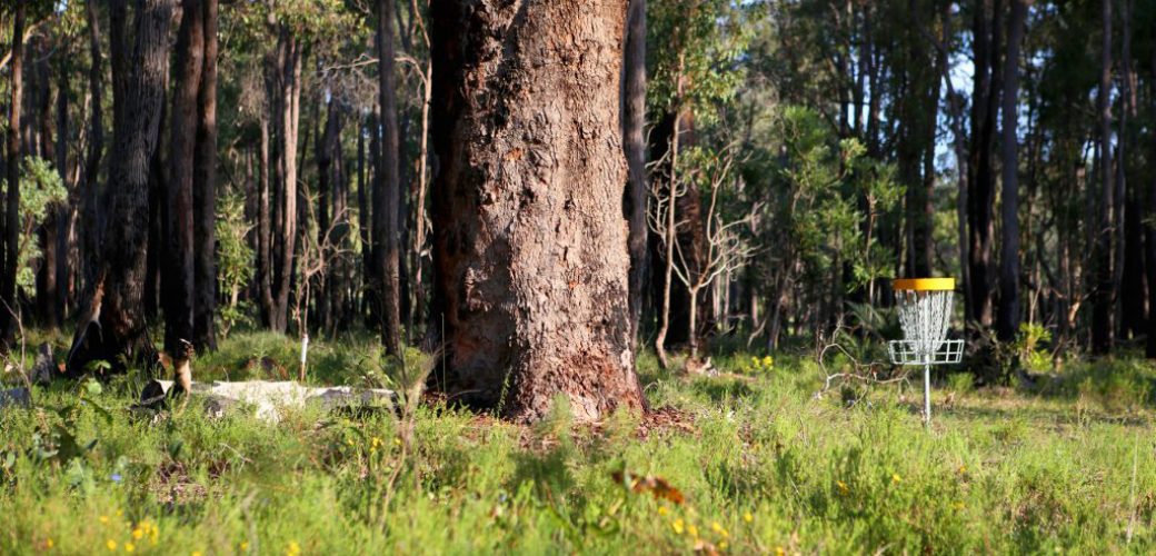 Mundaring Disc Golf Park – Western Australia