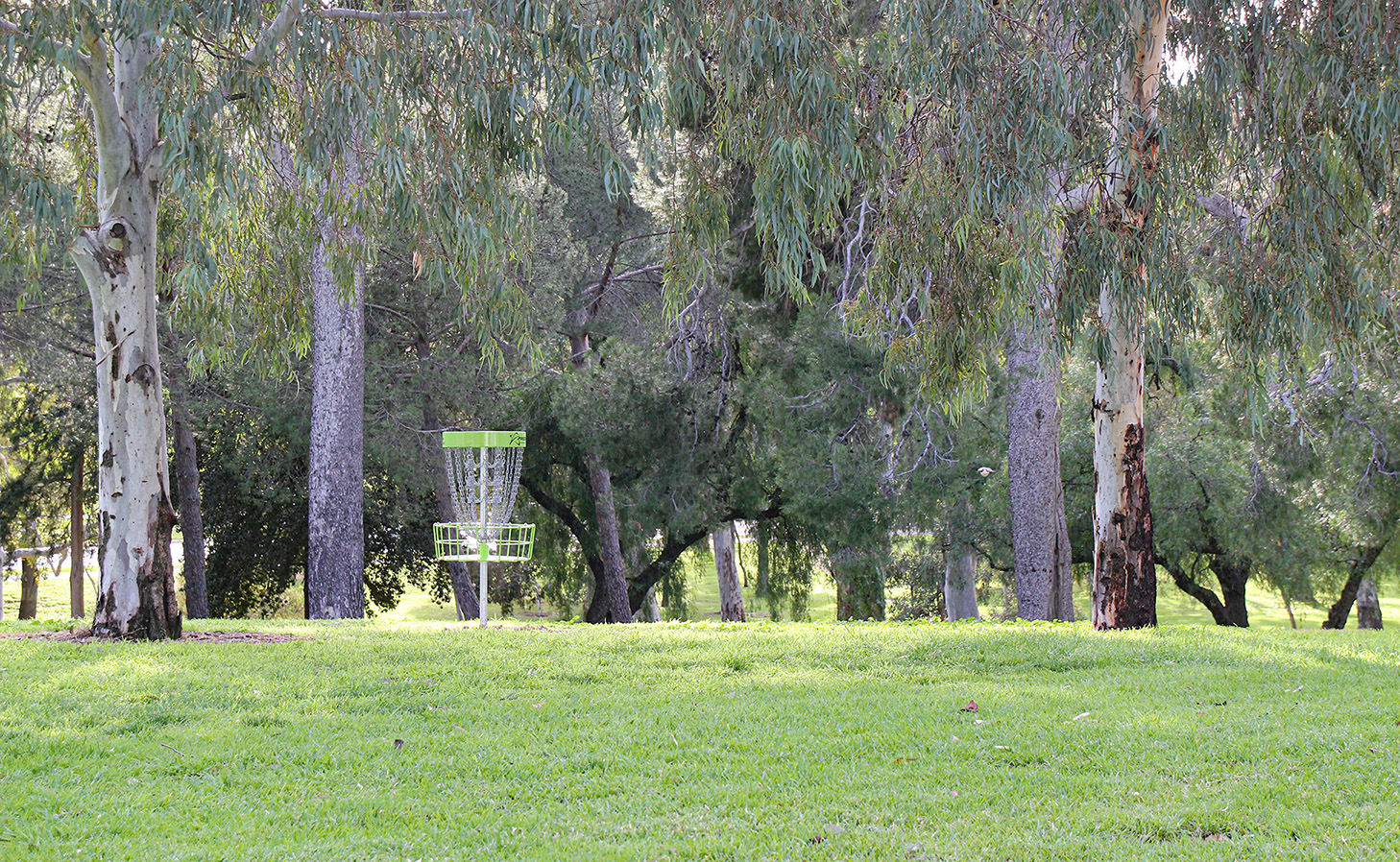 Adelaide Park Lands Disc Golf Course Australian Disc Golf