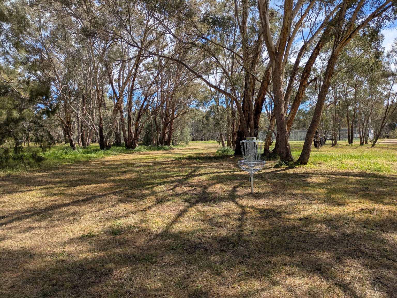 Australian Disc Golf | The definitive site for Disc Golf information in ...